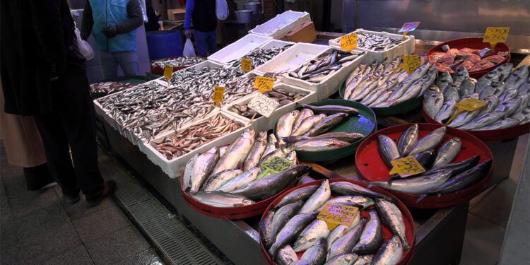 Ramazanda balığa ilgi azaldı