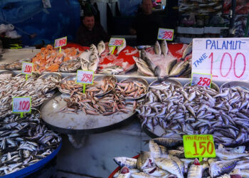 Rize'de deniz suyu ısındı; balık bolluğu azaldı