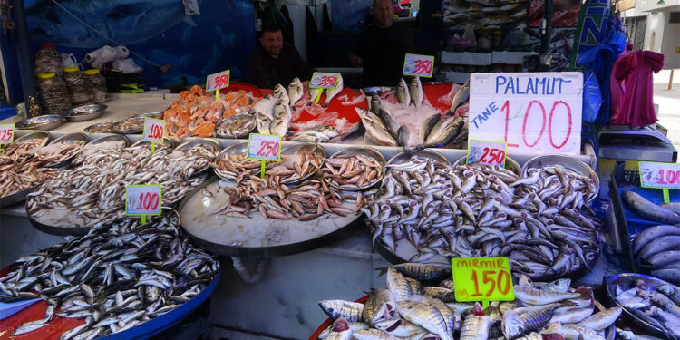 Rize'de deniz suyu ısındı; balık bolluğu azaldı