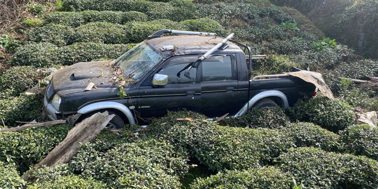 Rize'de kamyonet bahçeye girdi
