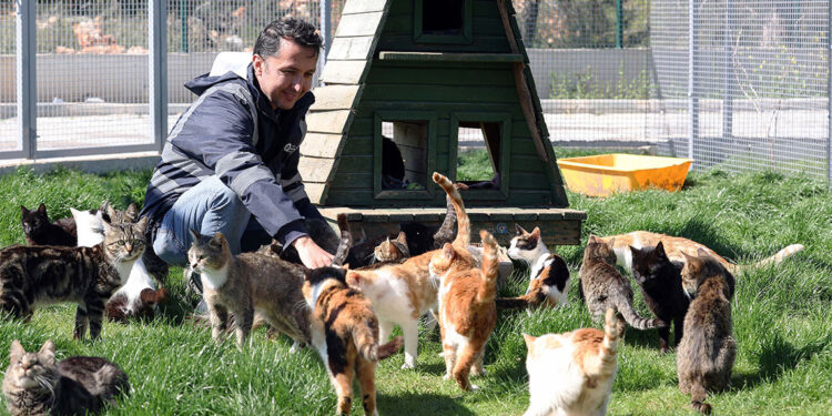 Sahipsiz canlar bayramda ziyaretçilerini bekliyor