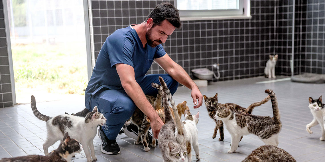 Antalya Büyükşehir Belediyesi Sokak Hayvanları Geçici Bakımevi ve Rehabilitasyon Merkezindeki sahipsiz canlar bayramda ziyaretçilerini bekliyor.