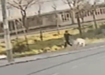 Sokak köpeğinin saldırısına uğrayan çocuk yaralandı