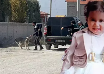 Sokak köpeklerinin saldırısında ölen Rana'nın Adli Tıp raporu çıktı