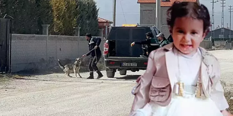 Sokak köpeklerinin saldırısında ölen Rana'nın Adli Tıp raporu çıktı