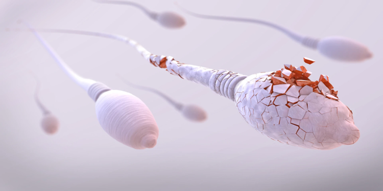 Sperm DNA Hasarı, başarısız gebeliklerin gizli sebebi olabilir