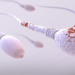 Sperm DNA Hasarı, başarısız gebeliklerin gizli sebebi olabilir