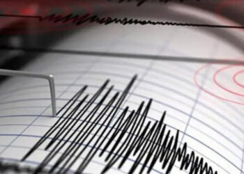 Tonga'da 7.1 büyüklüğünde deprem