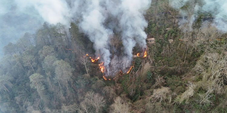 Sürmene'de örtü yangını; 10 dönüm alan zarar gördü