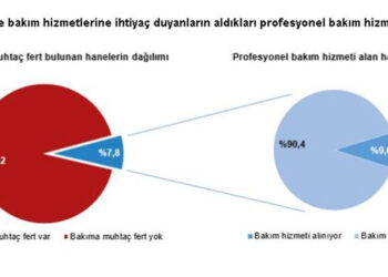 Hanehalklarının yüzde 7.8'i evde bakım hizmetine ihtiyaç duyuyor