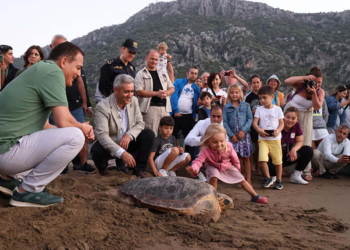 Tatilcilere bayram öncesi caretta caretta uyarısı: Beslemeyin