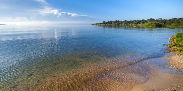 Viktorya Gölü yeşile döndü