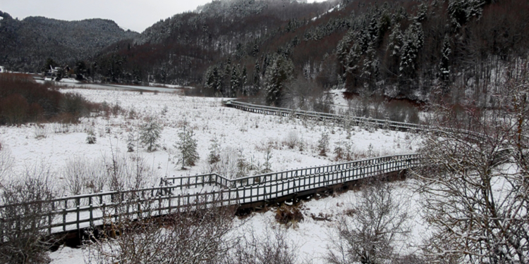 Yedigöller Milli Parkı’nda karavanlı konaklama yasaklandı