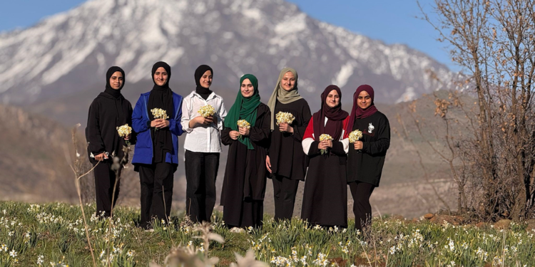 Yüksekova'da 1 metre kar, Derecik'te bahar