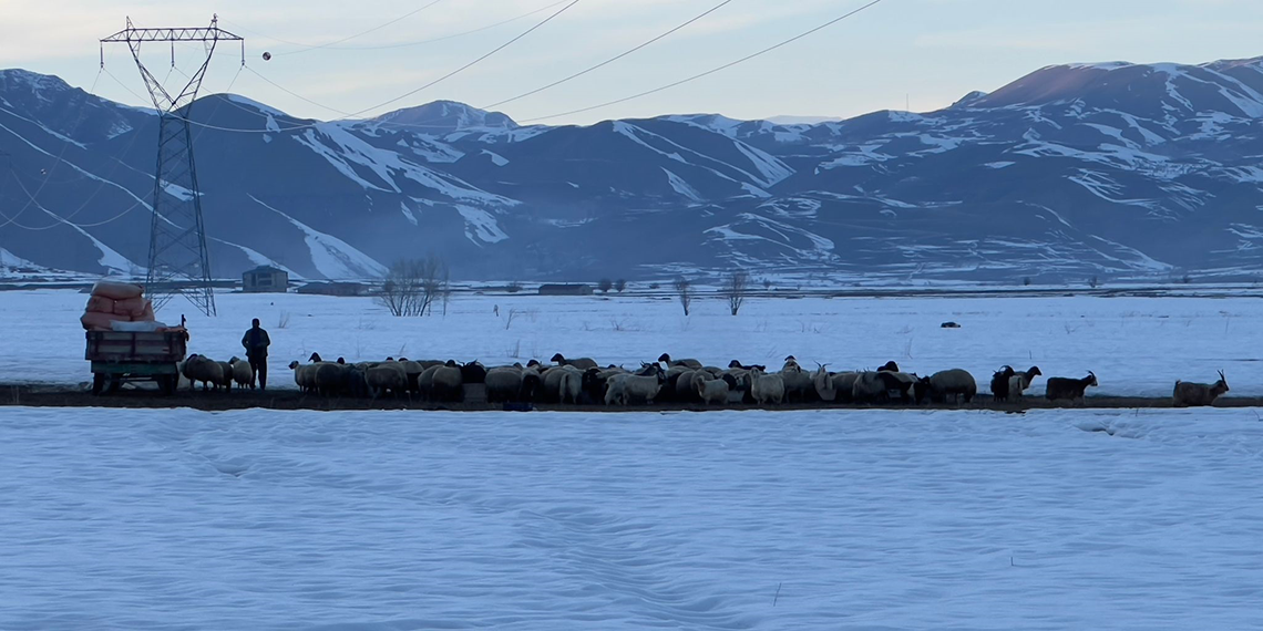 Yüksekova'da 1 metre kar, Derecik'te bahar