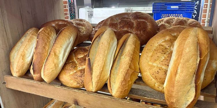 Ekmeğe yapılan yüzde 50 zam mahkemeye taşındı