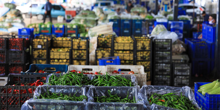 Şubat ayında tarım ürünleri üretici fiyatları yüzde 2,70 arttı