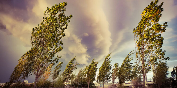 Ankara'da beklenen kuvvetli rüzgar ve fırtınaya dikkat