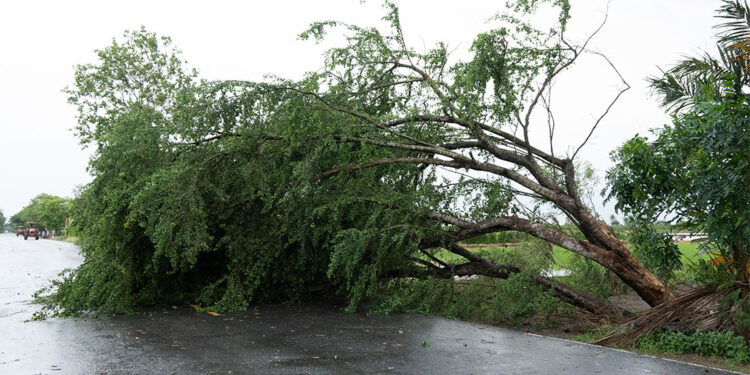 Marmara için kuvvetli rüzgar uyarısı