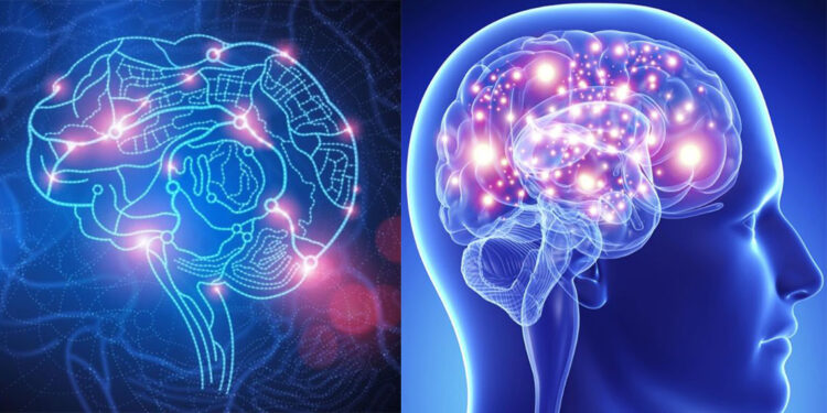 Beynin kendini iyileştirme yeteneği, öğrenme güçlüğüne umut oluyor