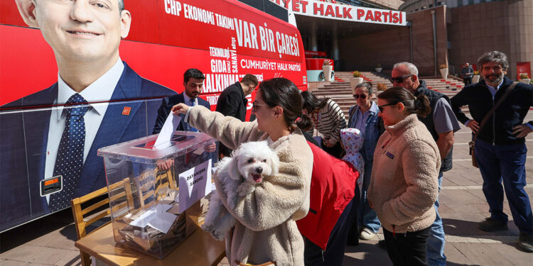 CHP'liler ön seçimde oy kullanıyor