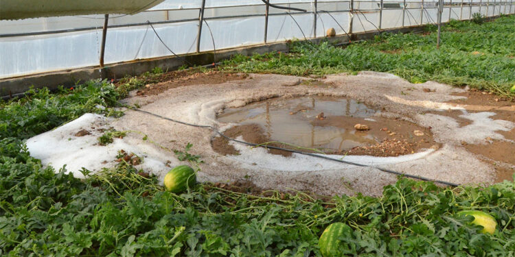 10 dakika süren dolu Serik'teki seralara zarar verdi