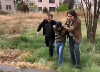 10 bin avro değerindeki köpeği çalan şüpheli tutuklandı