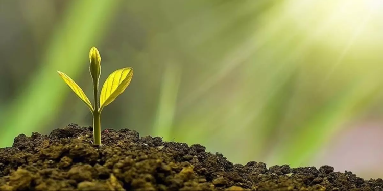 14 soruda İklim Kanunu Teklifi