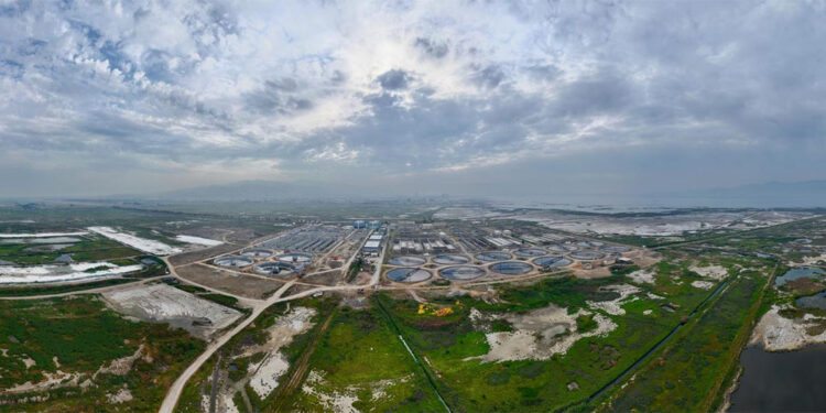 İzmir Körfezi daha da canlanacak