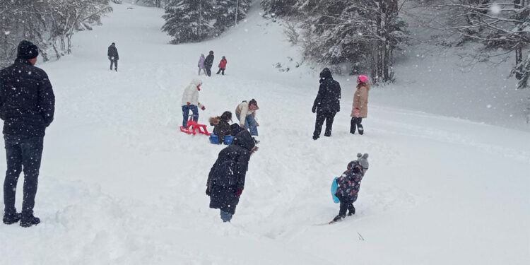 Abant Gölü Milli Parkı'nda kar kalınlığı 40 santime ulaştı