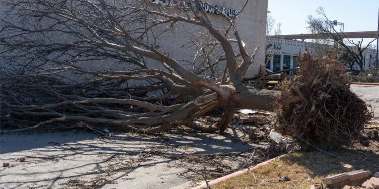 ABD'de etkili olan fırtınada 3 kişi hayatını kaybetti