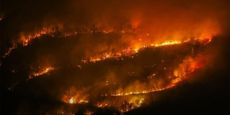 New Jersey'deki orman yangını nedeniyle tahliye emri verildi