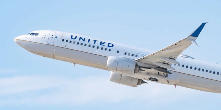 ABD'de yolcu uçağının motoruna tavşan girdi