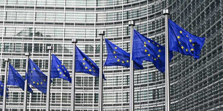 AB'den Hindistan'da düzenlenen silahlı saldırıya ilişkin açıklama