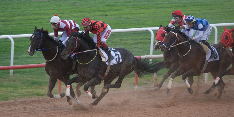 Akdeniz Derbisi’nin kazananı ‘Dapper Man’ oldu