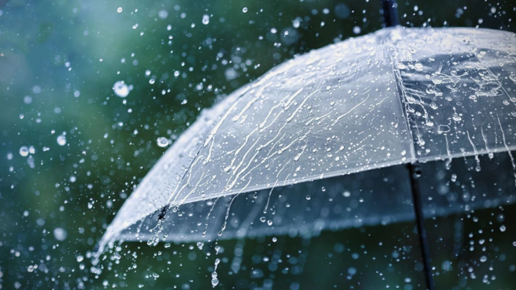 AFAD'dan İç Anadolu ve Doğu Karadeniz için yağış uyarısı