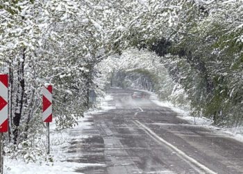 'Ağaç tünel yol'da beyaz güzellik