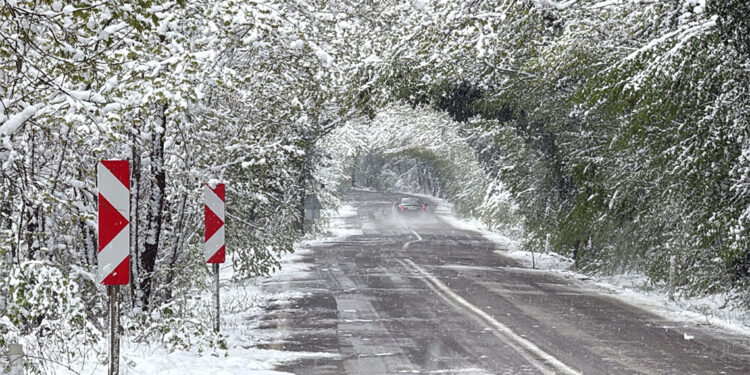 'Ağaç tünel yol'da beyaz güzellik
