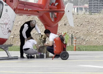 Ambulans helikopter pistinde ilginç görüntü