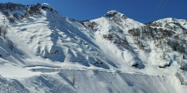 Artvin kar nedeniyle beyaza büründü