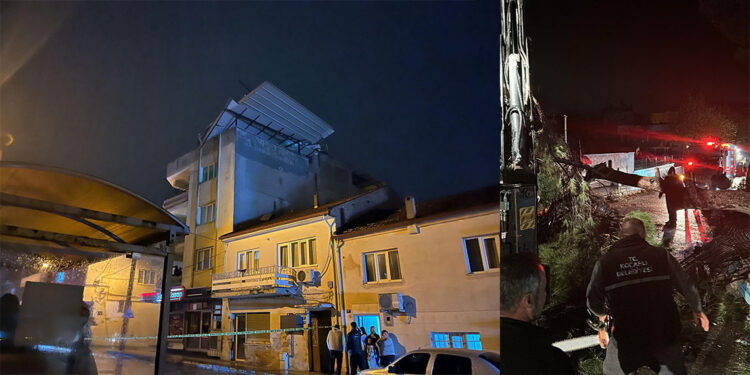 Aydın'da kuvvetli rüzgar; çatılar uçtu, ağaçlar devrildi