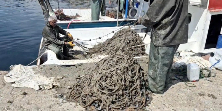 Ağları müsilajla kaplanan balıkçılar, avlanamadan geri döndü