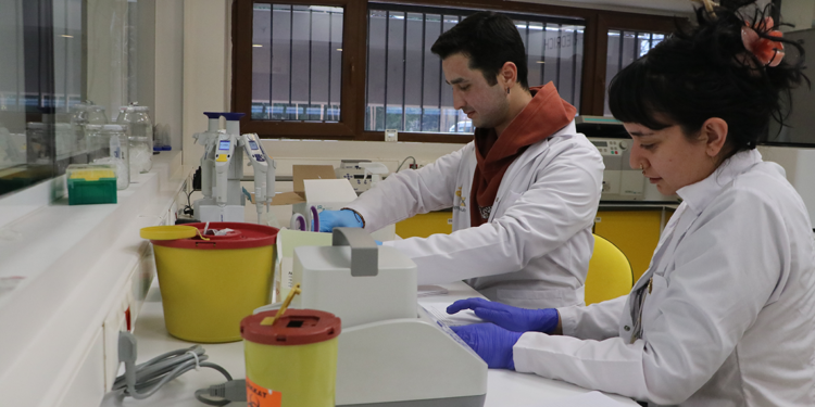 Agrigenomik Hub, iklim değişikliğine karşı Uygun türleri araştırıyor