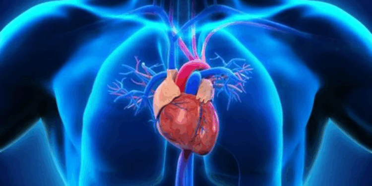 Aort yırtılması 20’li yaşlardaki gençleri de etkileyebilir