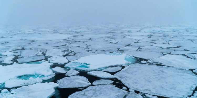 Arktik buz örtüsü son 40 yılın en düşük seviyesinde