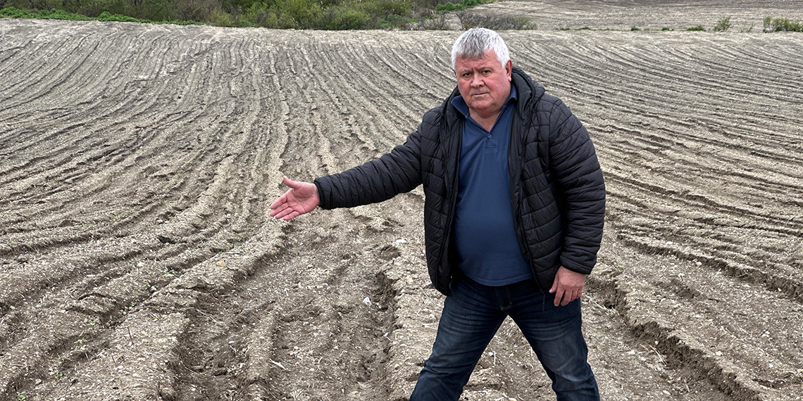 Ayçiçeği sel ve doludan zarar gören üretici, yeniden ekim yapacak