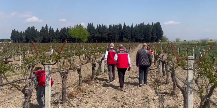 Tarihimizin en büyük zirai don olaylarından birini yaşadık