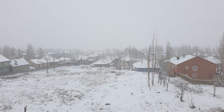 Başkale'de kar yağışı etkili oldu