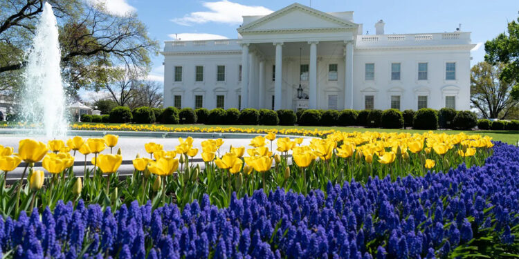 Trump, otomobil tarifelerine ilişkin bir kararname imzalayacak