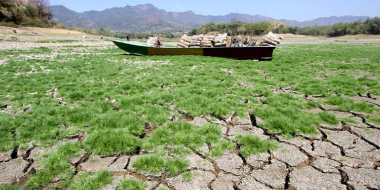 İklim krizine karşı küresel eylemlerin hızlandırılması çağrısı
